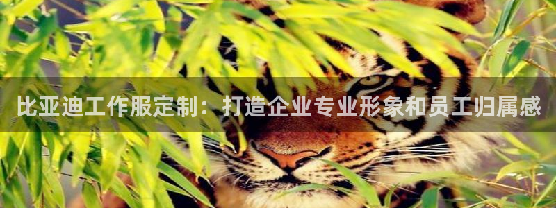 头号玩家老虎机游戏官网|比亚迪工作服定制:打造企业专业形象和员工归属感
