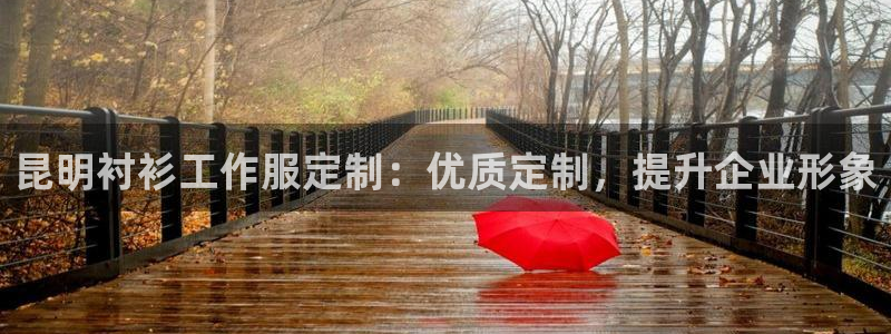 龙八娱乐官网网址|昆明衬衫工作服定制:优质定制,提升企业形象