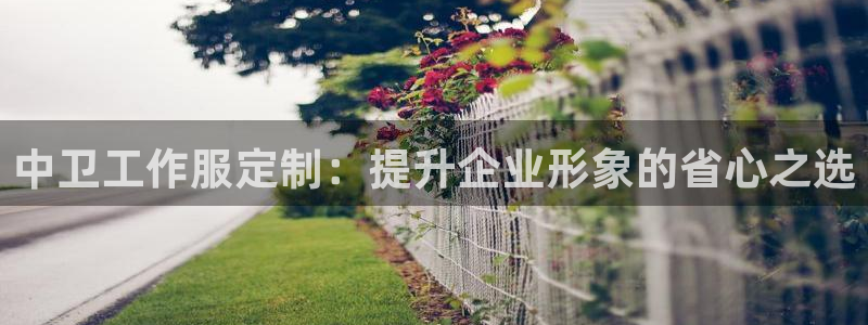 龙8国际官网点此进入|中卫工作服定制：提升企业形象的省心之选