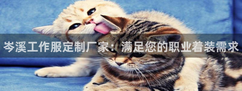 龙八国际手机版官网平台|岑溪工作服定制厂家:满足您的职业着装需求