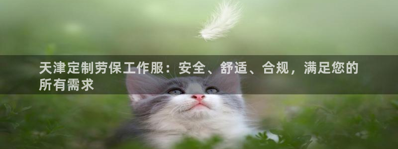 龙8网页版登录官网|天津定制劳保工作服:安全、舒适、合规,满足您的
所有需求