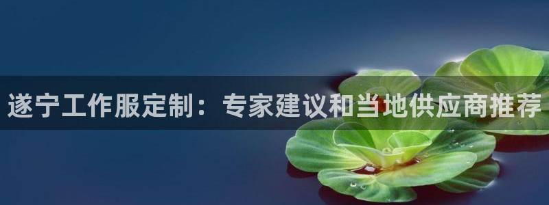 龙八国际手机登录入口|遂宁工作服定制：专家建议和当地供应商推