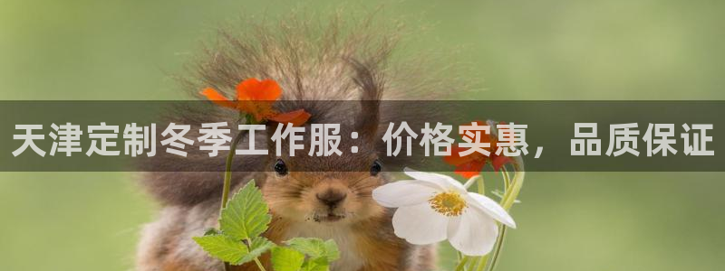头号玩家龙八国际网址|天津定制冬季工作服：价格实惠，品质保证