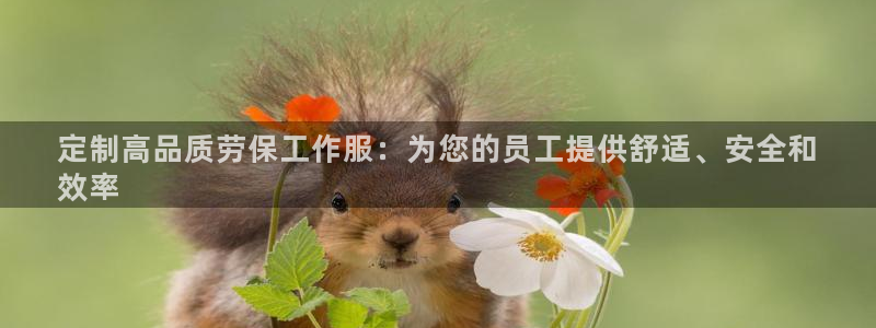 龙8头号玩家官方网站|定制高品质劳保工作服：为您的员工提供舒
